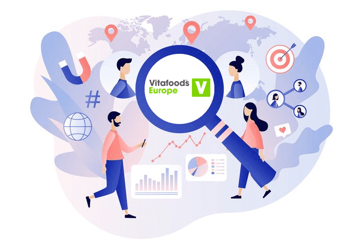Utilizing VFi Europe Visitor Data for Targeted Marketing Illustration