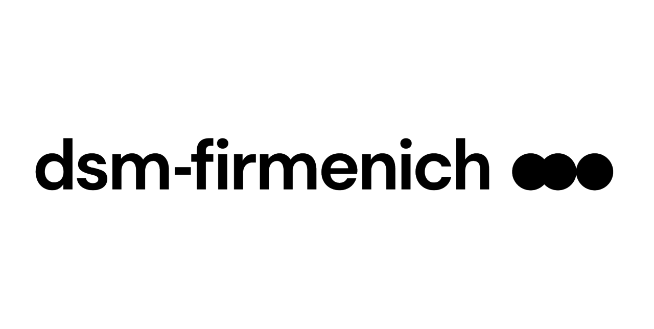 dsm Logo