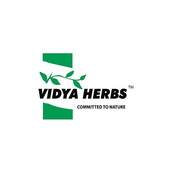 vidya